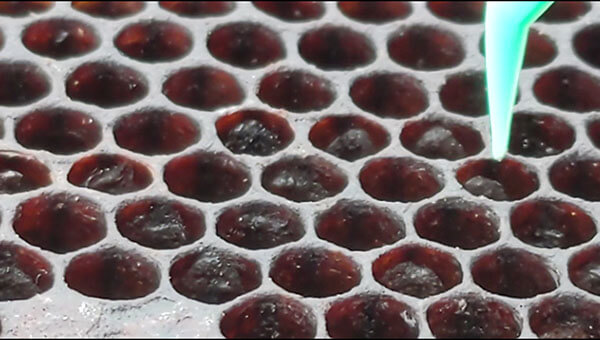 Close-up of AFB inside a honey bee hive
